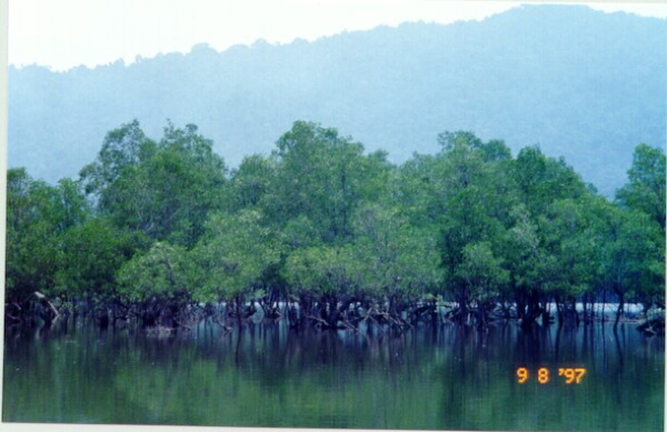 Lampan.jpg